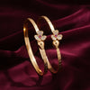 Pari Charm Bangles jewellery product view 1