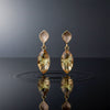 Nova Crystal Butterfly Earrings jewellery product view 1