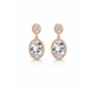 Amaya Crystal Bloom Earrings jewellery product view 7