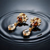 Amber Shine Designer Earrings jewellery product view 1