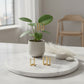 Classic Square Earrings jewellery product view 5